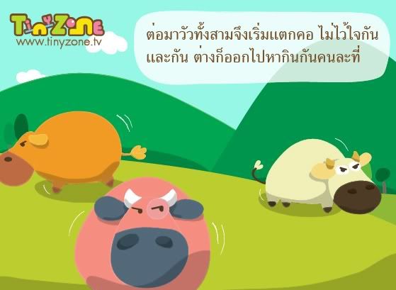 วัวสมาสหาย7