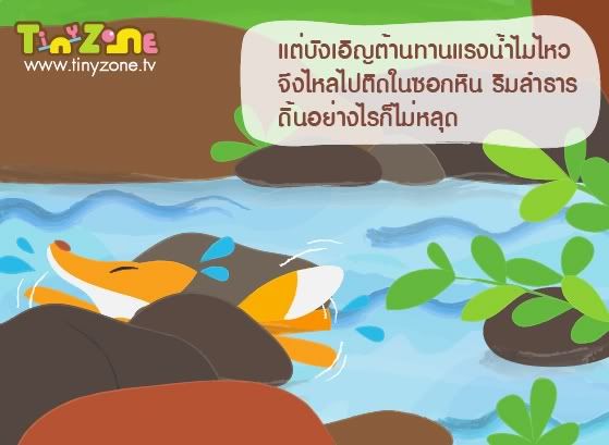 หมาจิ้งจอกกับเม่น 3
