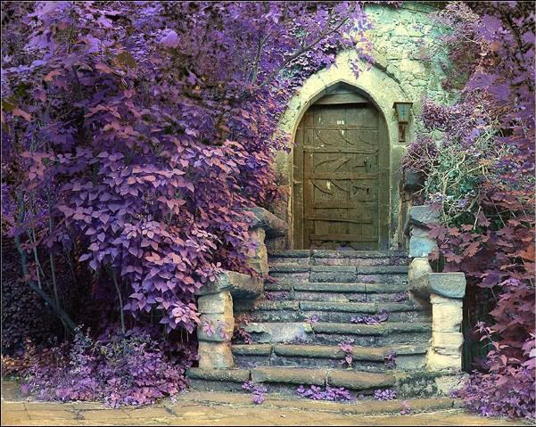 beautiful door Pictures, Images and Photos