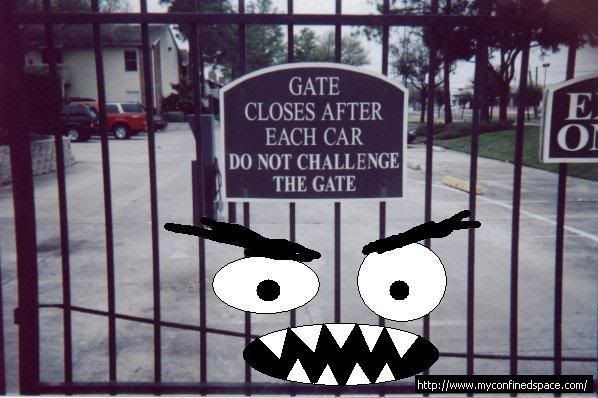 donotchallengethegatesg6.jpg
