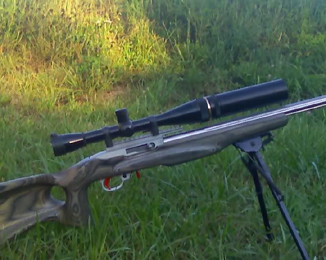 Must Have or Really Cool Ruger 10/22 Customizing - .22 Rifle/Rimfire Discussion