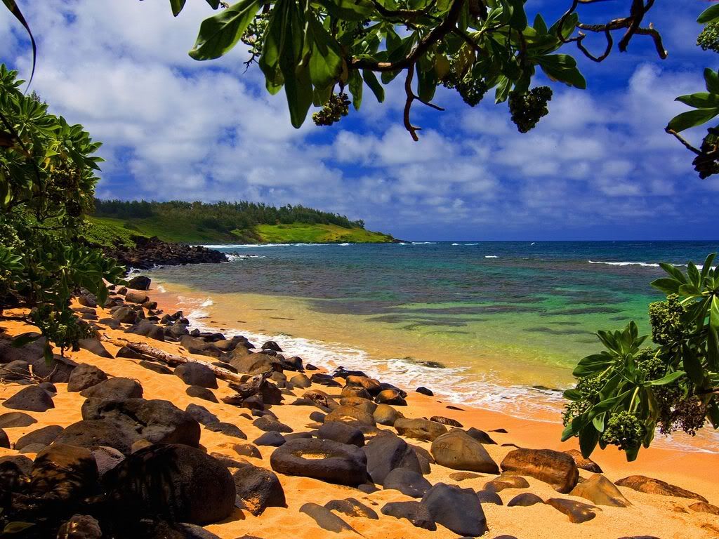 BeachShadeMoloaaKauaiHawaii.jpg