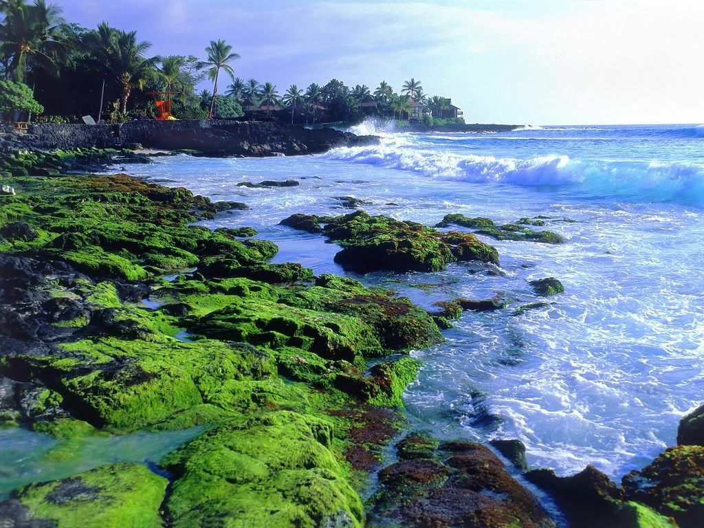 KonaCoastBigIslandHawaii.jpg