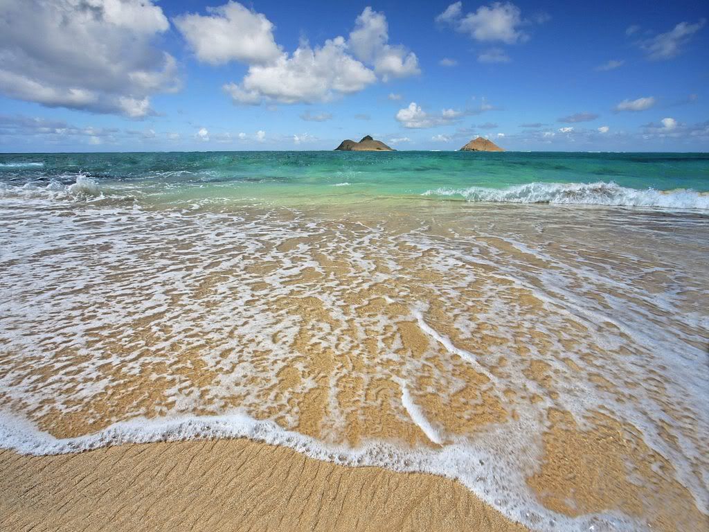 LanikaiShorelineOahuHawaii.jpg