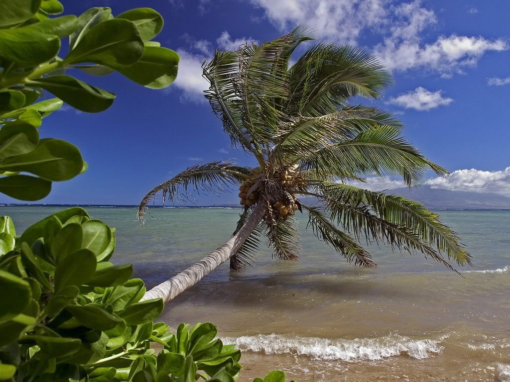 MolokaiHawaii.jpg