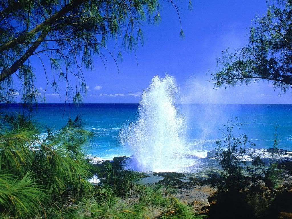 SpoutingHornKauaiHawaii.jpg