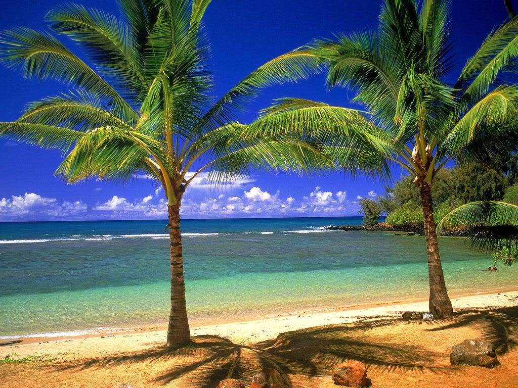 TropicalLagoon.jpg