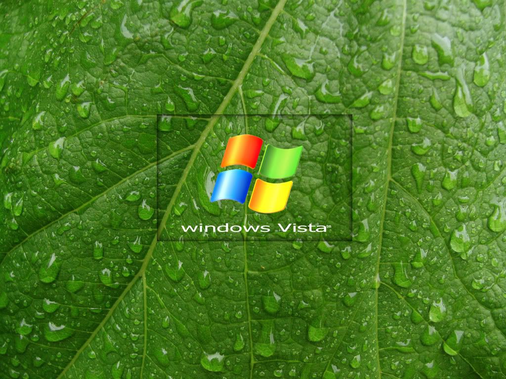 green_leaf_vista__by_mr_mucho00.jpg
