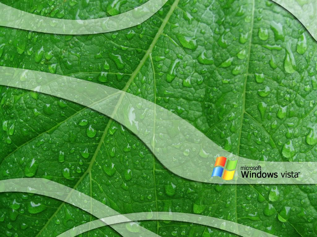 green_leaf_vista__by_mr_mucho01.jpg