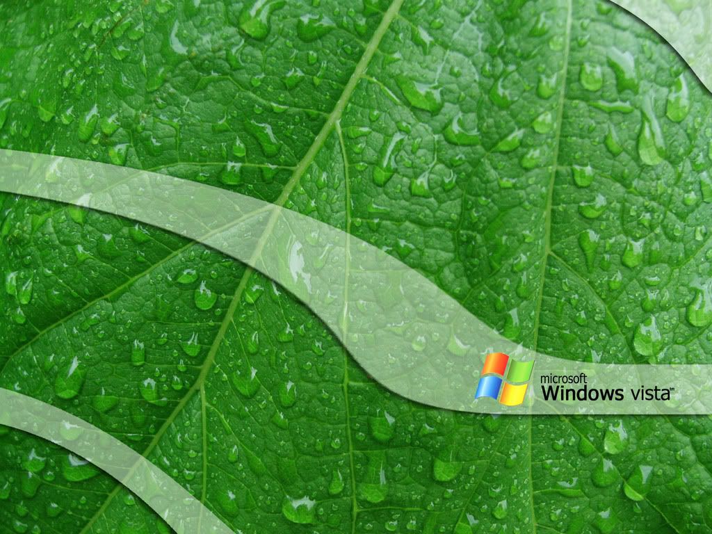 green_leaf_vista__by_mr_mucho02.jpg