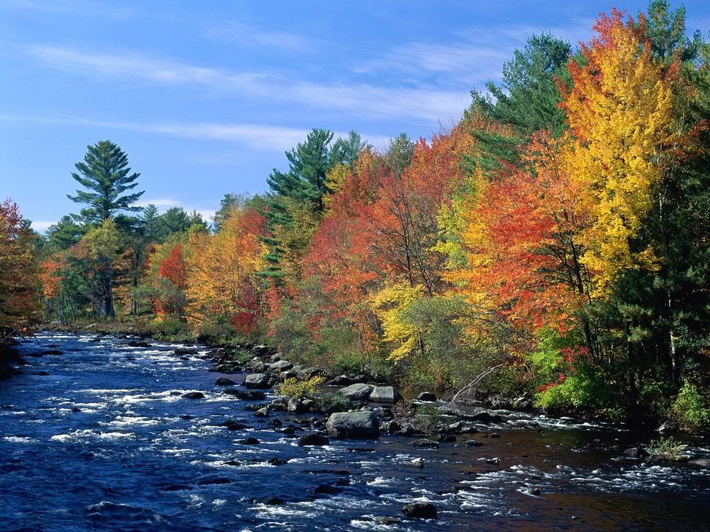 ColorsofNewEngland.jpg