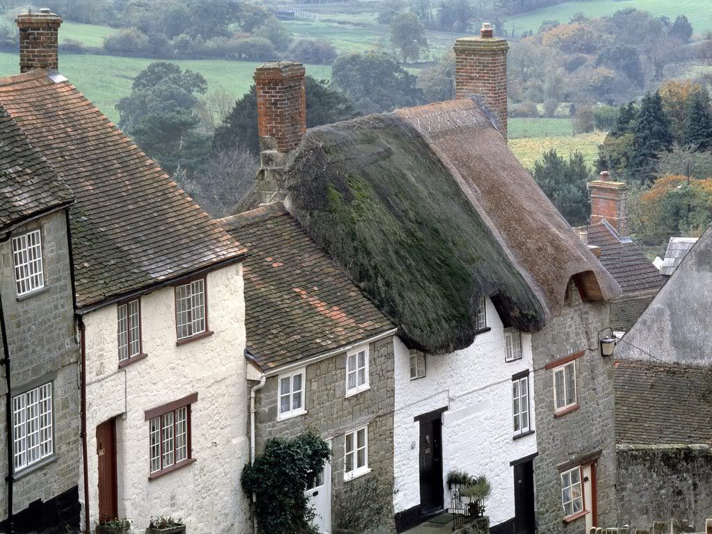 CottagesShaftsburyDorsetEngland.jpg
