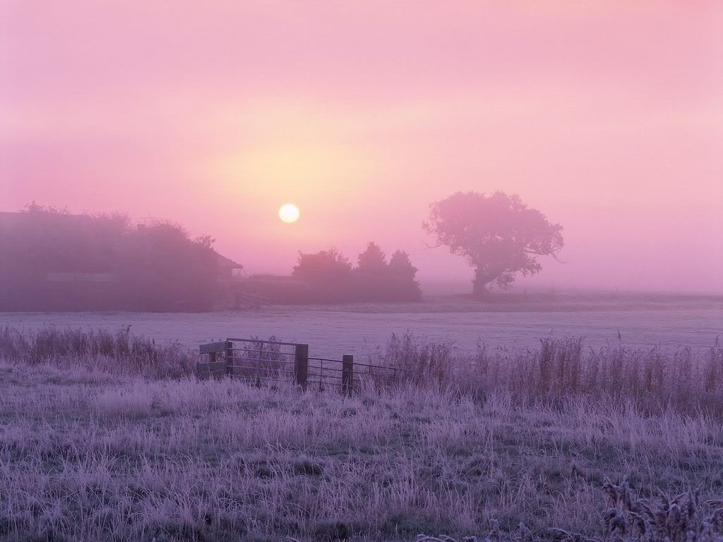 SunriseOverFrostyFarmlandNorfolkEng.jpg
