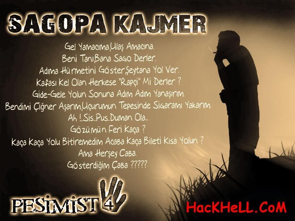 sago24yn4.jpg