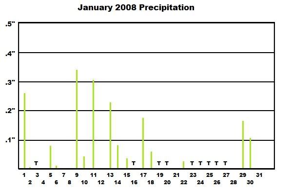 Bethel, NY January 2008 precipitation graph