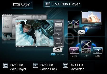 DivX Build 1.0.2.30 Plus 8.0