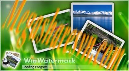 MegaSharesVn.com MegaSharesVn.com