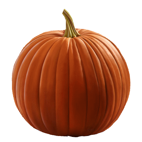 Pumpkin.png