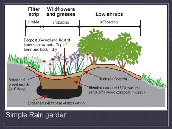 SimpleRainGarden