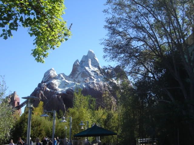 wdw023.jpg