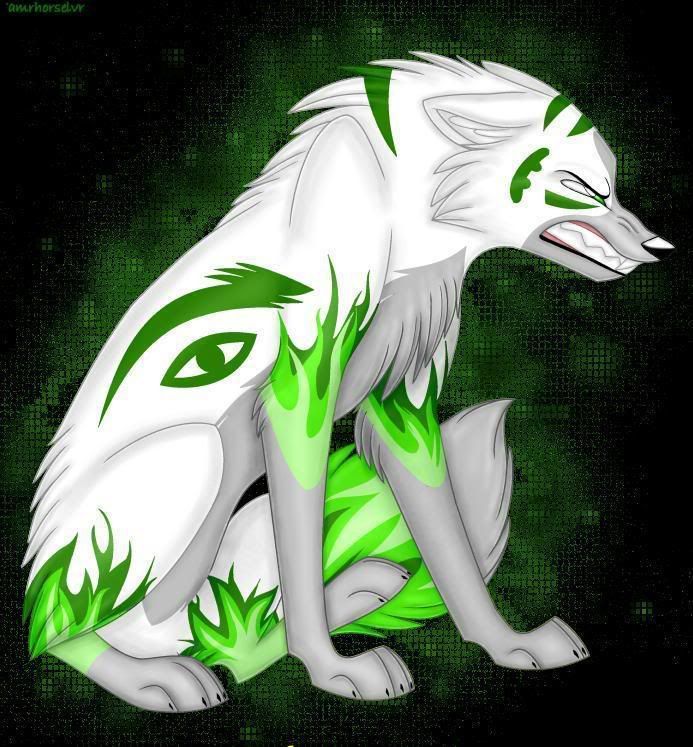 green wolf Pictures, Images and Photos