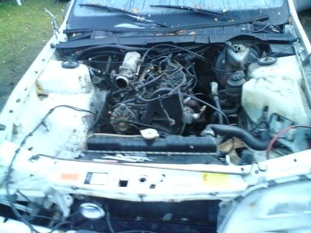 klkm.jpg?t=1263658654