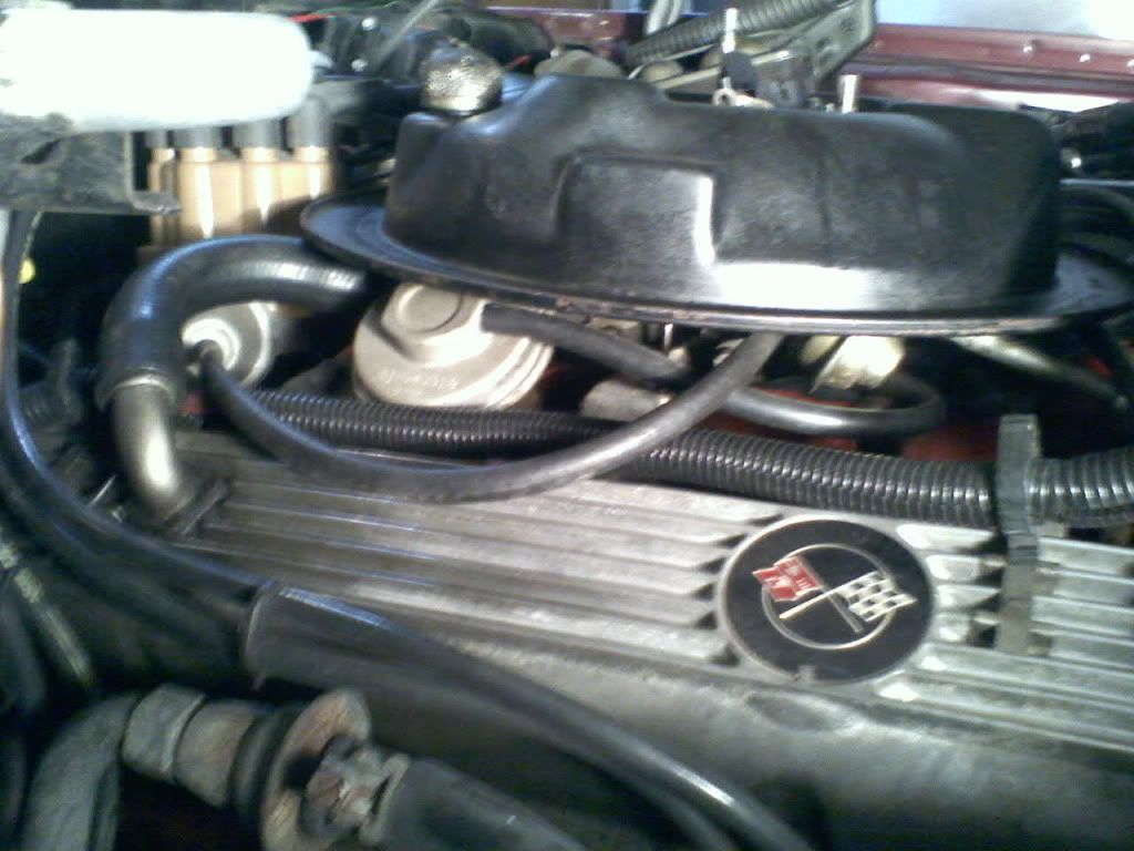 1973 Z28 Dual Snorkel air cleaner Team Camaro Tech