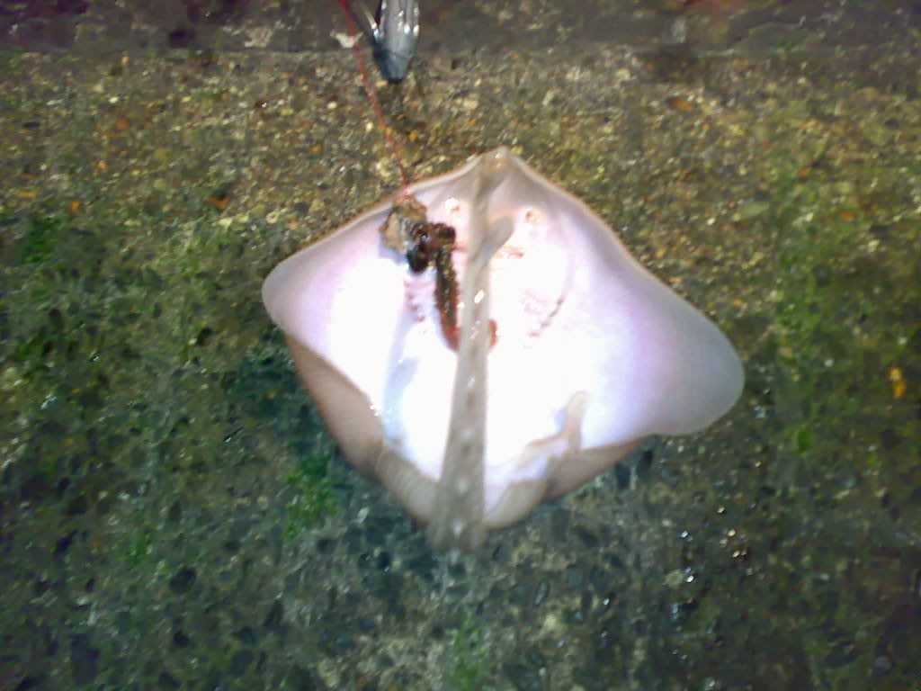 10022007137.jpg