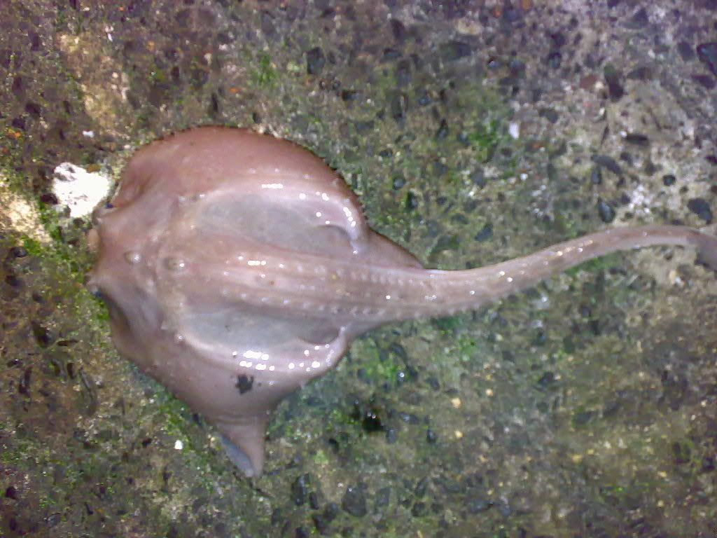10022007139.jpg