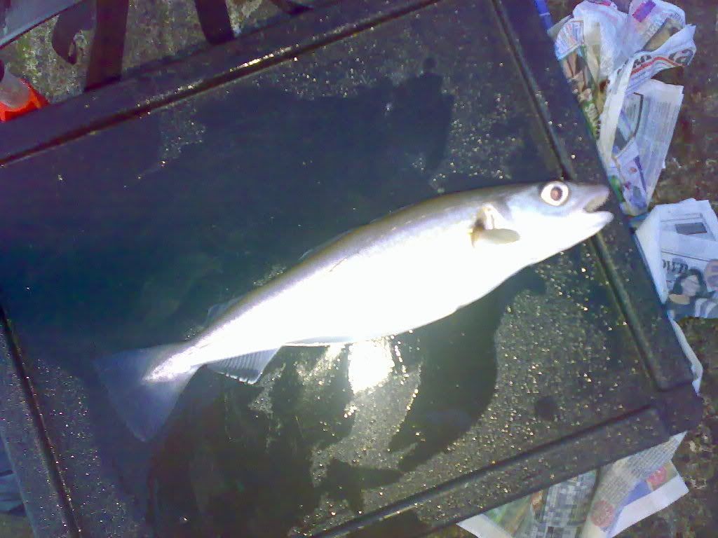 10022007144.jpg