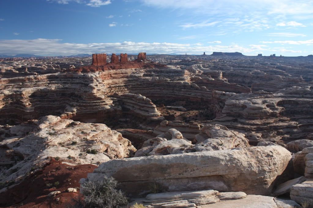 IMG_2141.jpg