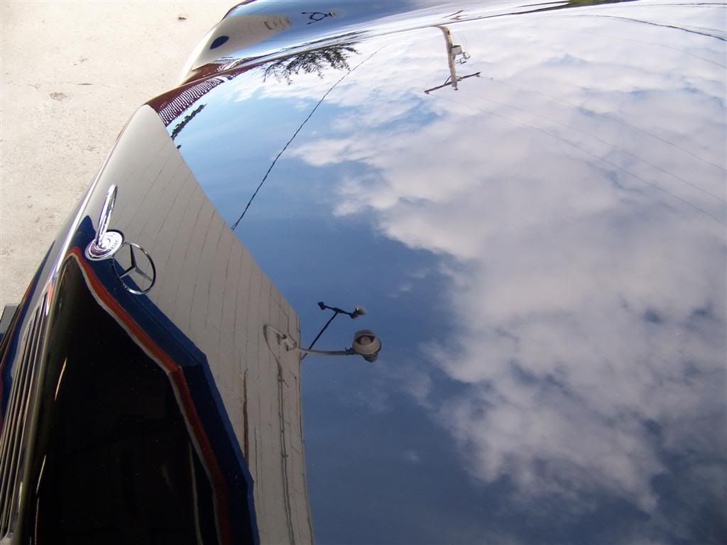 100_1815.jpg