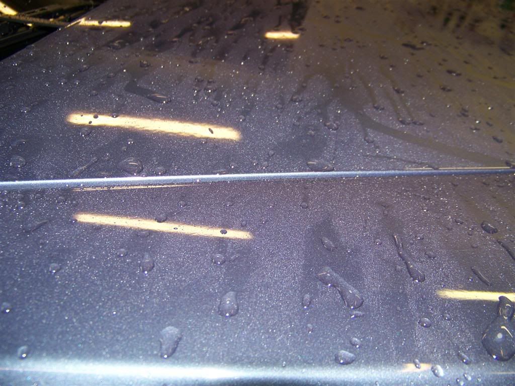 100_1521.jpg