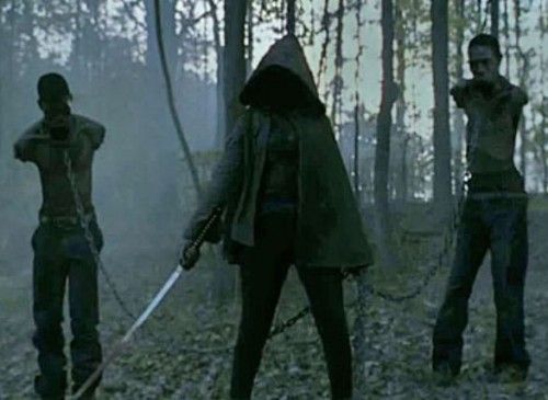 Michonne_the_walking_dead-500x365.jpg