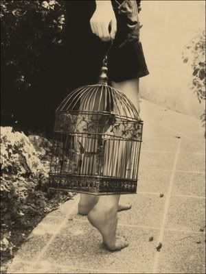 Vintage Birdcage Pictures, Images and Photos