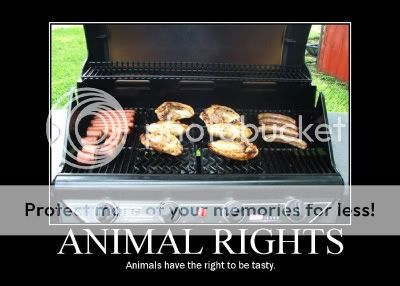 Drepturile animalelor