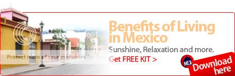 Mexico Insurance Kit