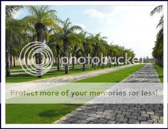 Yucatan real estate market