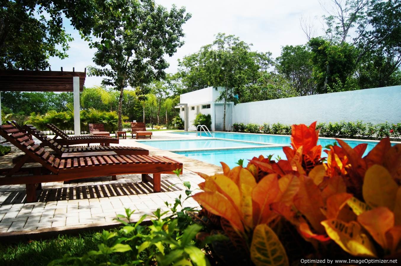 Bosques de Bambu Pool Playa del Carmen