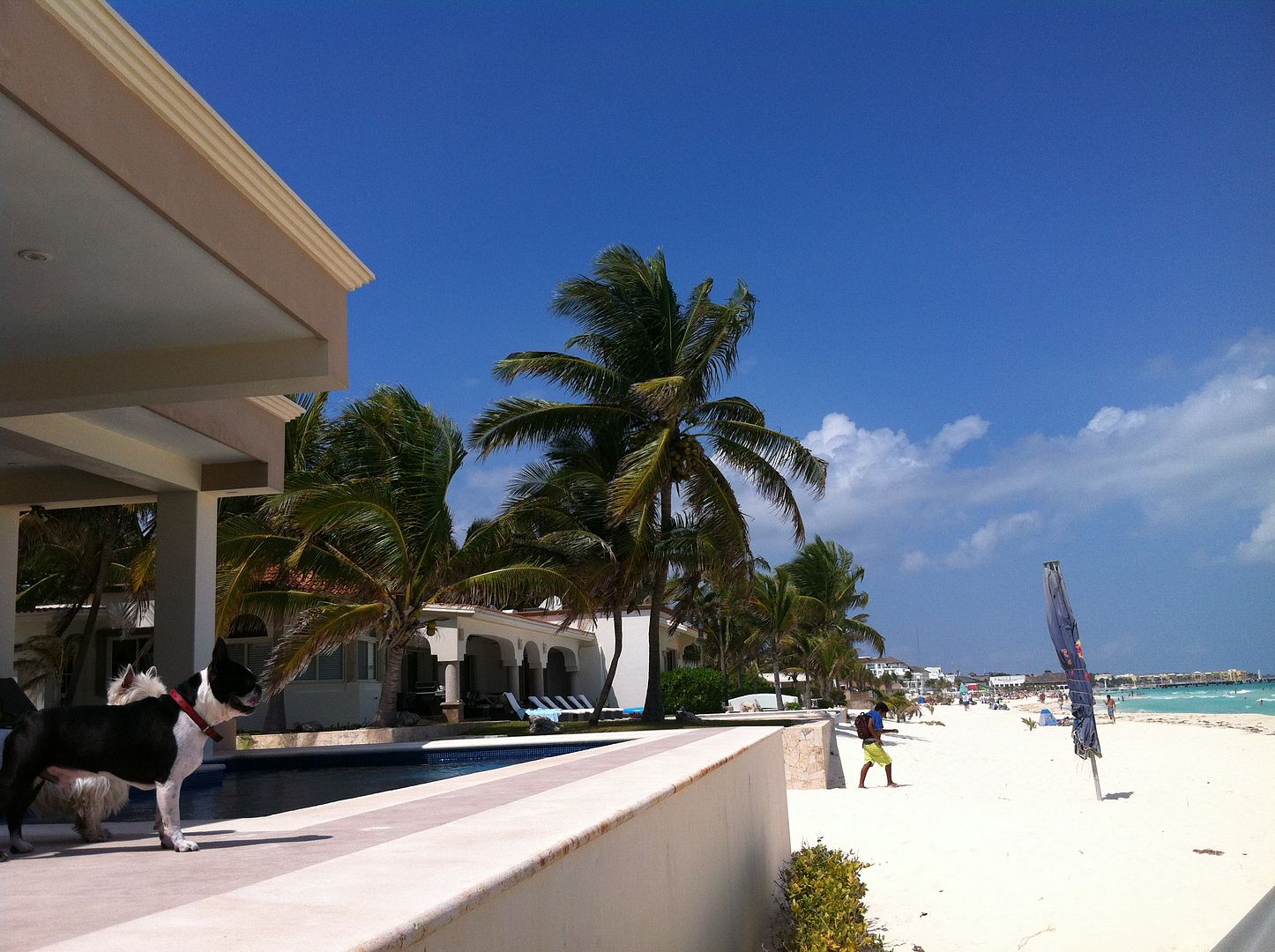 Homes in Playa del Carmen Real Estate