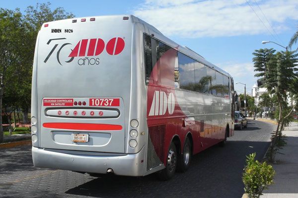 ADO Bus