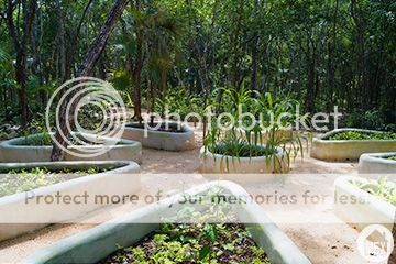 Enjoy beautiful gardens in landscaping outside of your home in Tulum