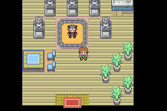 [PokeCommunity.com] Pokemon Top Secret Version