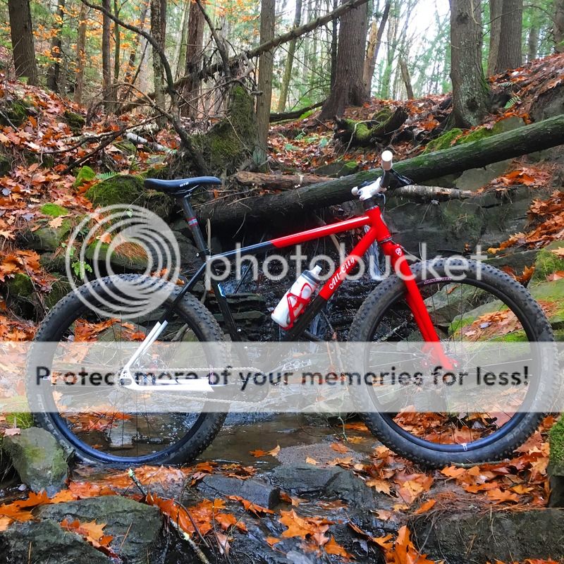 log lady bike